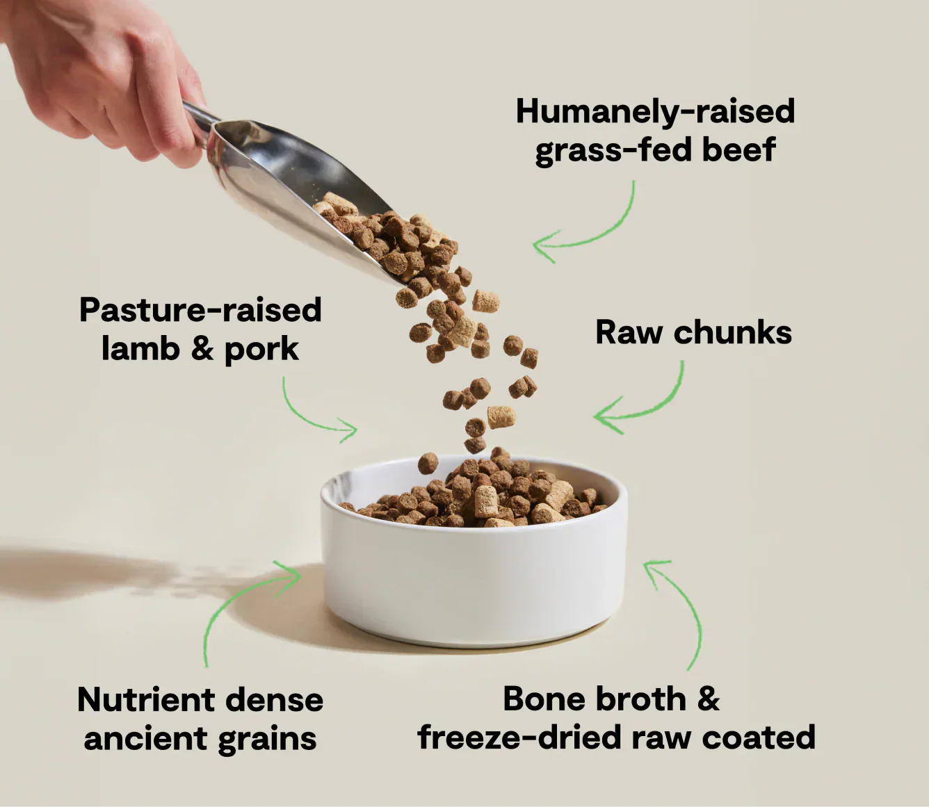 RawMix Front Range dog kibble with humanely-raised grass-fed beef, pasture-raised lamb and pork, nutrient-dense ancient grains, raw chunks, and bone broth freeze-dried coating