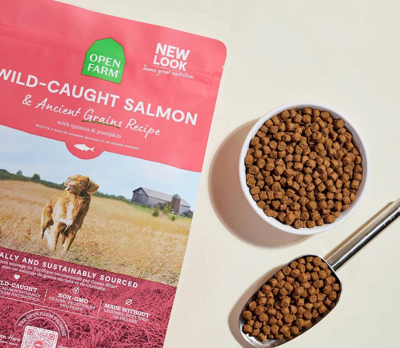 Wild-caught salmon and ancient grain dog kibble with quinoa and pumpkin in a white bowl and spoon next to pink packaging