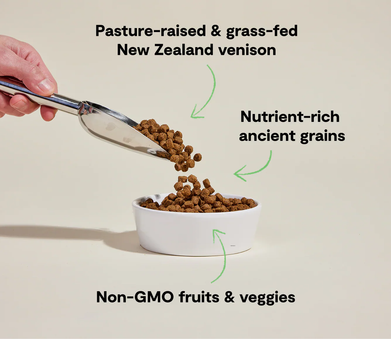 New Zealand Venison & Ancient Grain dog kibble with pasture-raised venison, nutrient-rich ancient grains, and non-GMO fruits and vegetables.