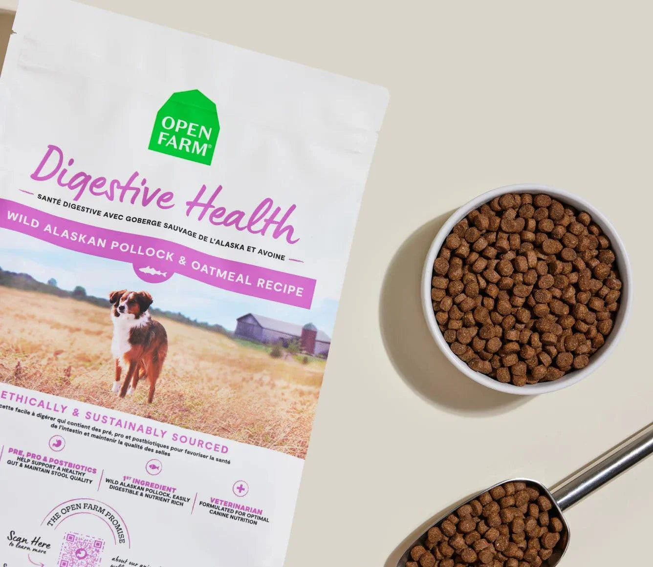 Pollock and oatmeal digestive health dog kibble with wild Alaskan pollock for sensitive stomachs and gut support