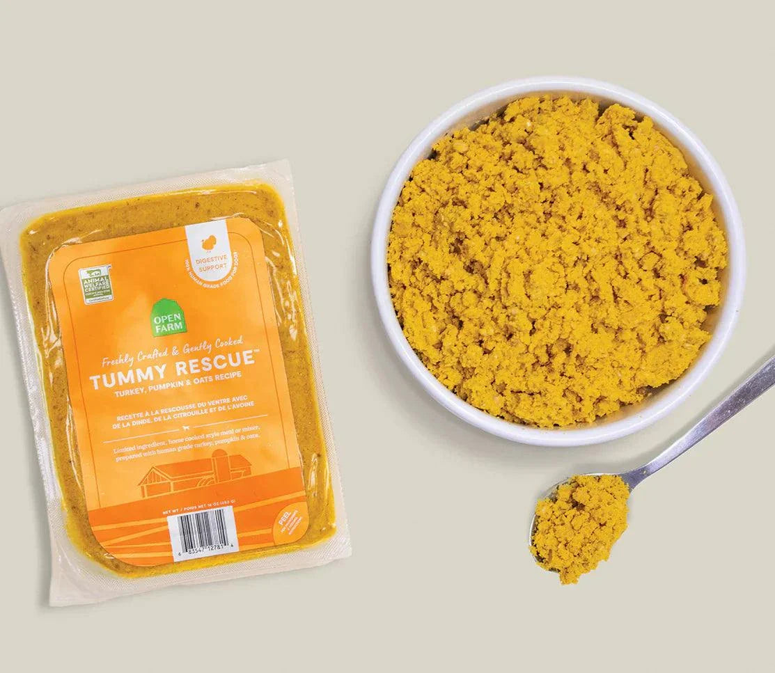 Tummy Rescue Dog Food turkey pumpkin fresh gently cooked frozen pouch and bowl spoon