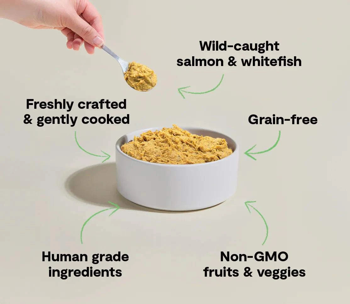 Wild-Caught Fish Freshly Crafted Dog Food-Fresh Food-Open Farm-DFW Raw Dog Food