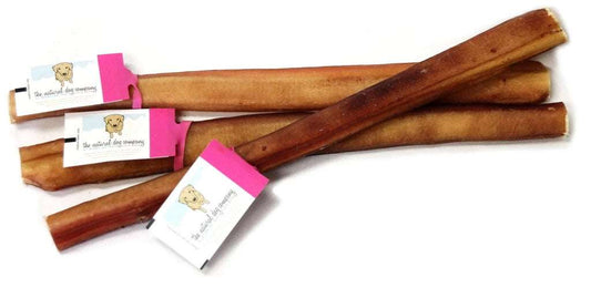 Odor free jumbo bully sticks dog chews for power chewers 12 inch natural bull pizzle treats