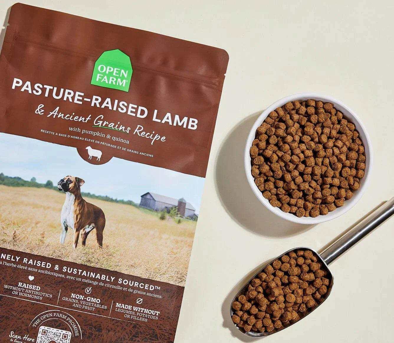 Pasture-raised lamb and ancient grain dog kibble with pumpkin and quinoa in a brown Open Farm bag, shown with a bowl and scoop of kibble