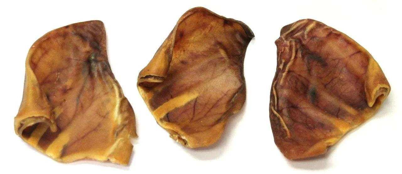Gently baked natural pig ear dog chew treat for all sizes