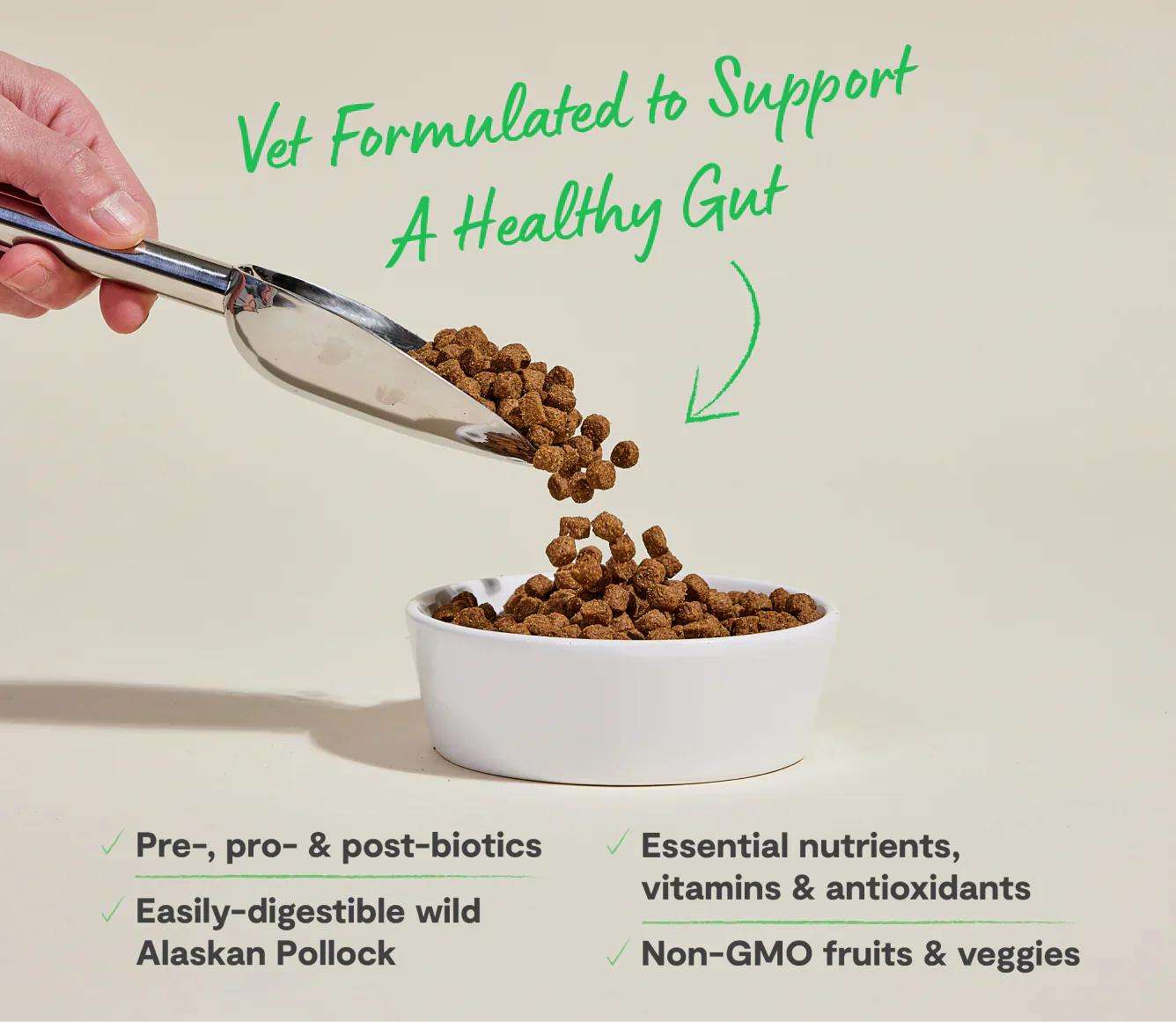 Pollock & Oatmeal Digestive Health dog kibble with wild Alaskan pollock, prebiotics, probiotics, and non-GMO ingredients for healthy gut support.