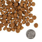 Gold Puppy dog food kibble with dime for size, nutritious formula for puppies and nursing mothers