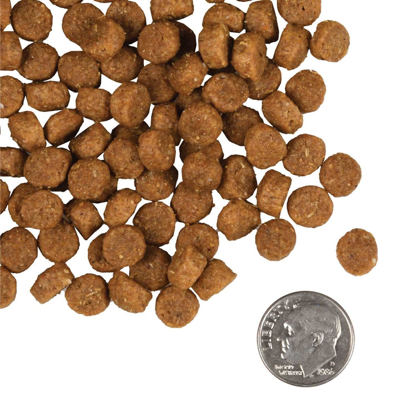 Gold Puppy dog food kibble with dime for size, nutritious formula for puppies and nursing mothers