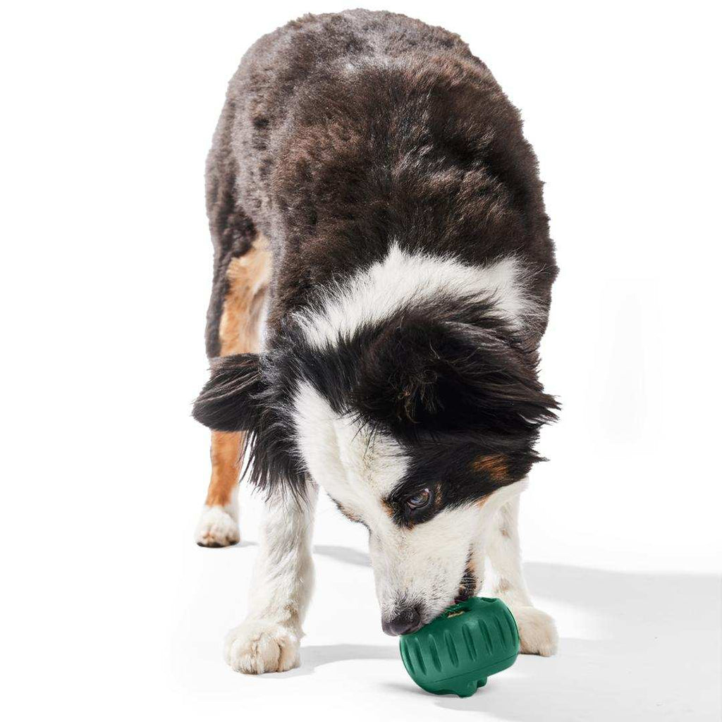 Pupsicle dog enrichment toy in teal natural rubber with ridged sides, shown being licked by a tricolor dog.
