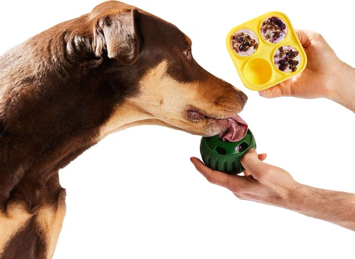 Dog enjoying treat from Pupsicle Treat Tray made from food-grade silicone.