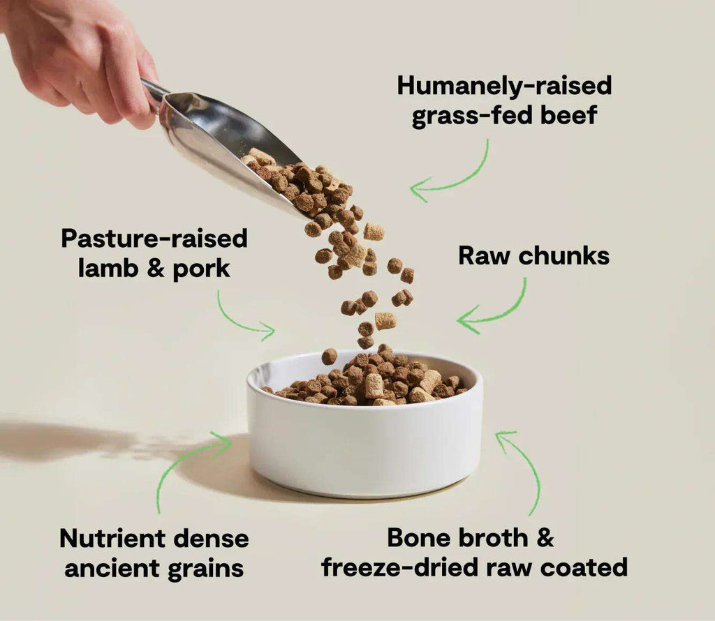 RawMix Front Range ancient grains dog kibble with brown pieces, freeze-dried raw chunks and a white bowl.