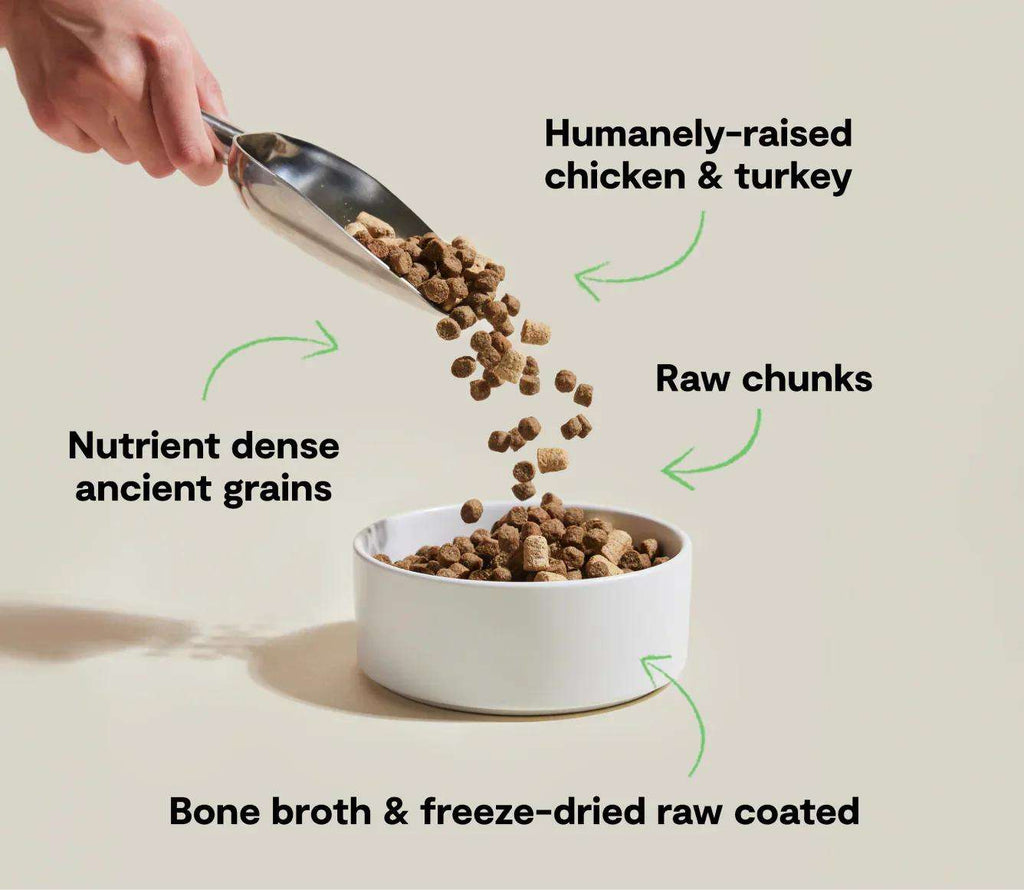 RawMix Open Prairie dog kibble with brown ancient-grain pieces and larger freeze-dried raw chunks coated in bone broth.