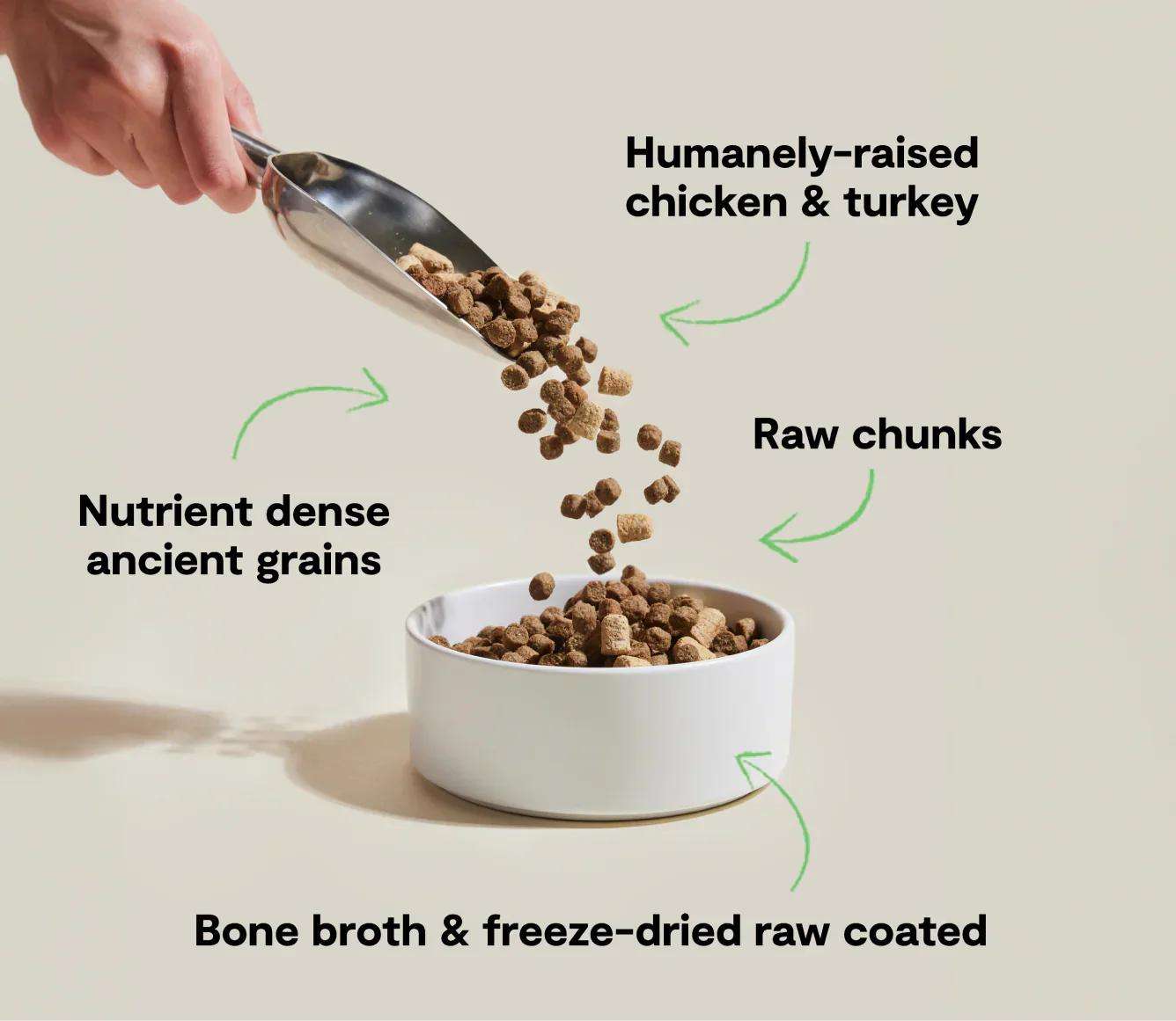 RawMix Open Prairie dog kibble with humanely-raised chicken and turkey, ancient grains, raw chunks, and bone broth freeze-dried coating