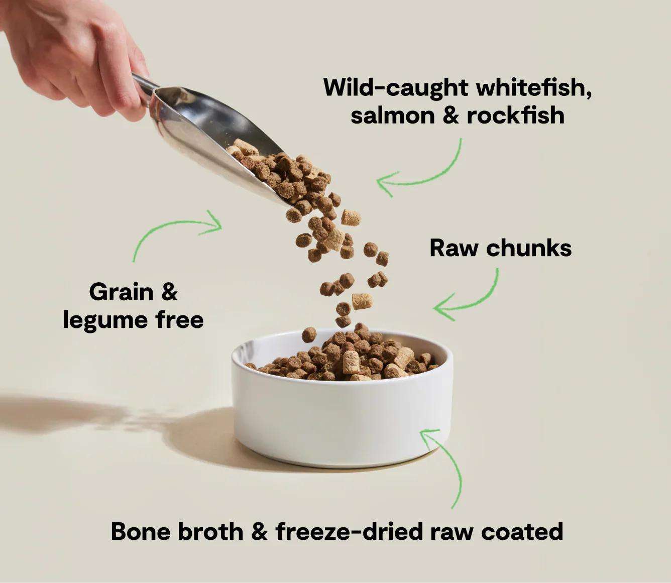 RawMix Wild Ocean grain-free dog kibble with wild-caught whitefish, salmon, rockfish, bone broth coating, and freeze-dried raw chunks