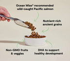 Puppy Salmon & Ancient Grain Recipe dry kibble, small brown pieces shown pouring into a white bowl for puppies.