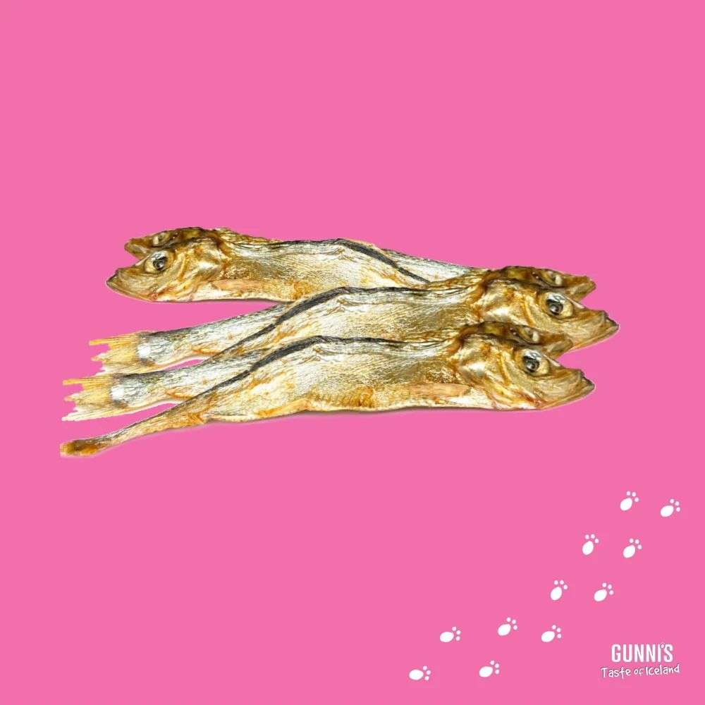 Whole herring dog treats on pink background.