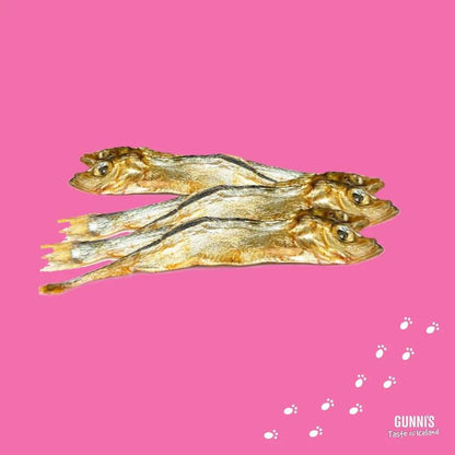 Whole herring dog treats on pink background.
