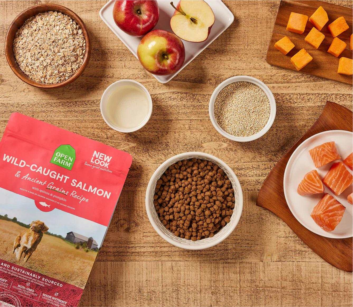Wild-caught salmon and ancient grain dog kibble with oats, apples, quinoa, pumpkin, and fresh salmon chunks on a wooden surface