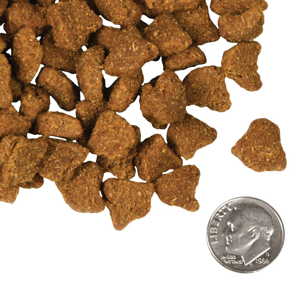 close-up of Zealambder Dog Food kibble pieces next to a dime for size comparison