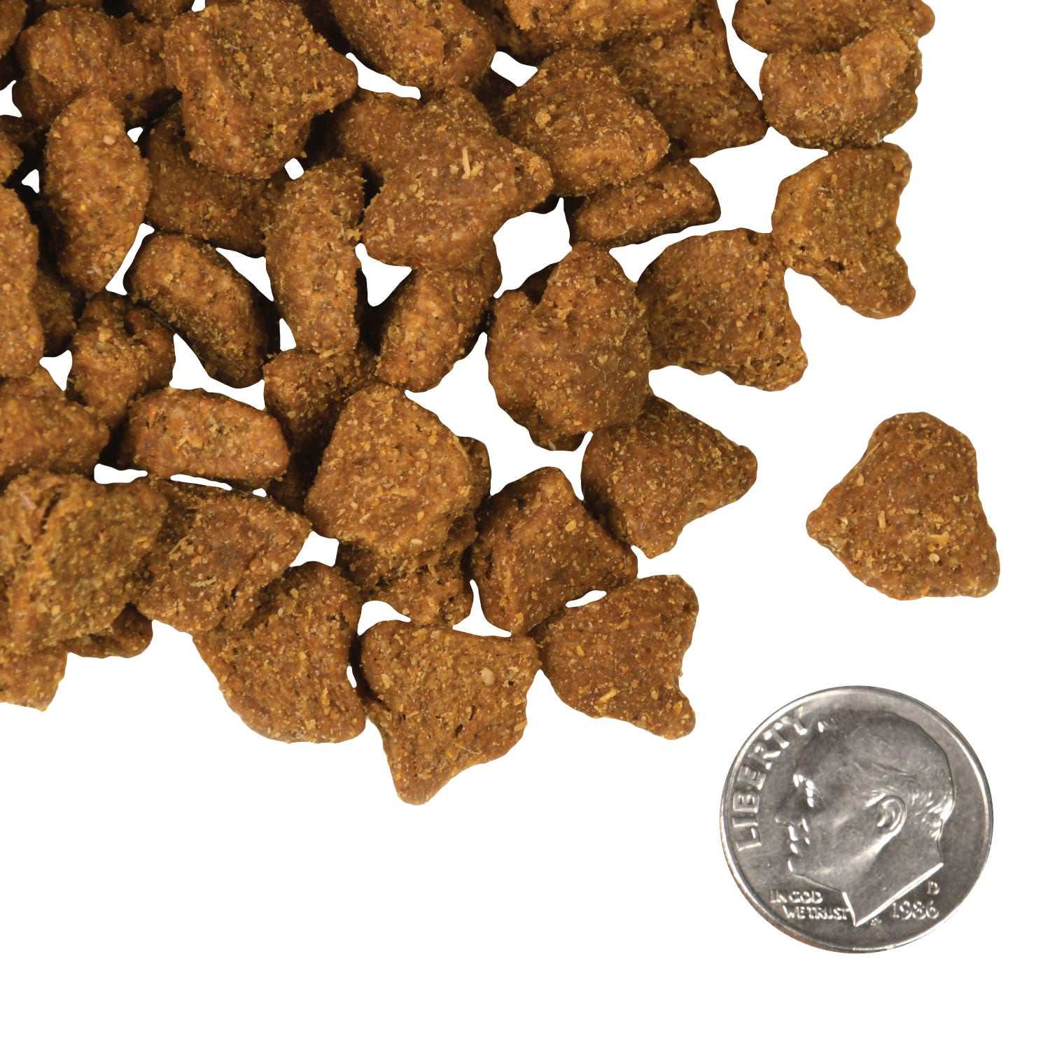 close-up of Zealambder Dog Food kibble pieces next to a dime for size comparison