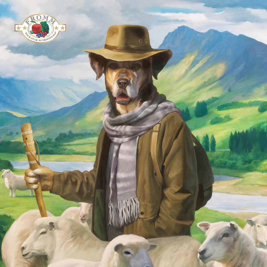 Zealambder Dog Food featuring lamb, oats, barley, fruits, and vegetables with probiotics for all dog breeds and ages