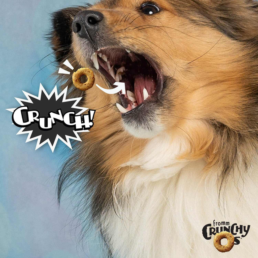 Dog enjoying "CRUNCH O's Bacon Blasters" treat with a crunchy "Crunch!" graphic.