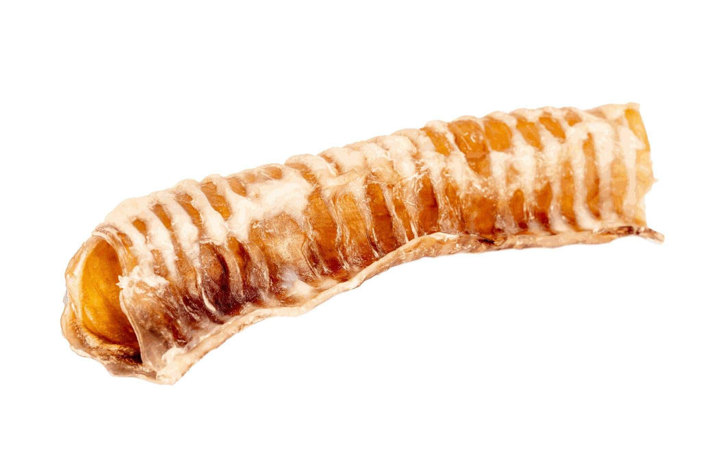 Beef Trachea dog chew, a single dried tube with a tan and golden-brown color and distinct ridged rings.