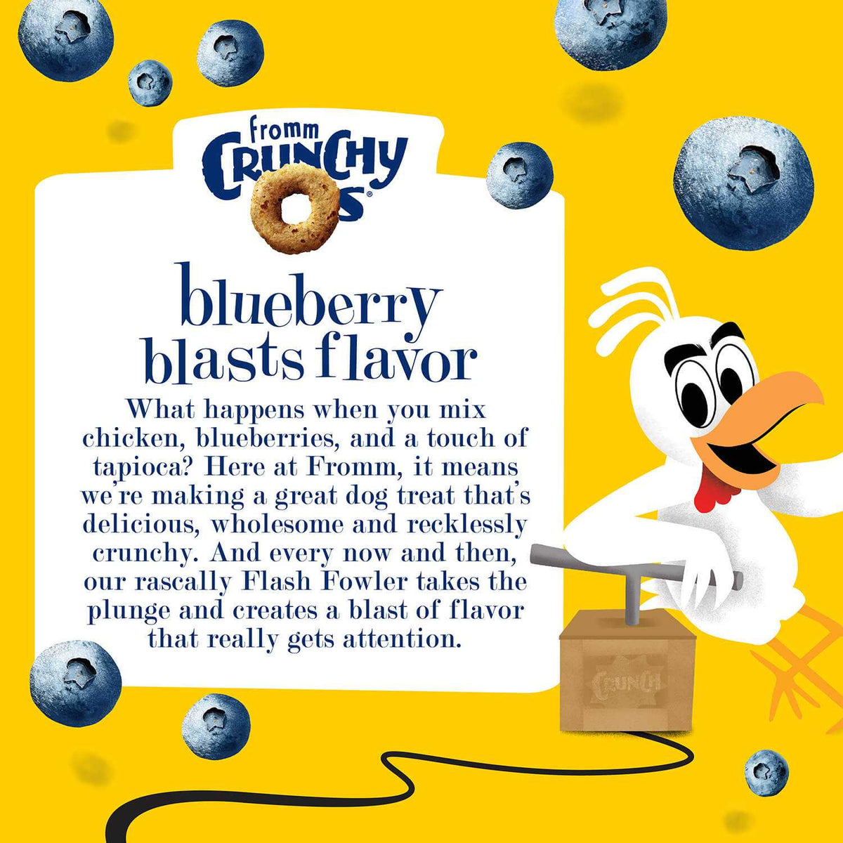 CRUNCH O's Blueberry Blasts dog treats packaging with blueberries and playful design.