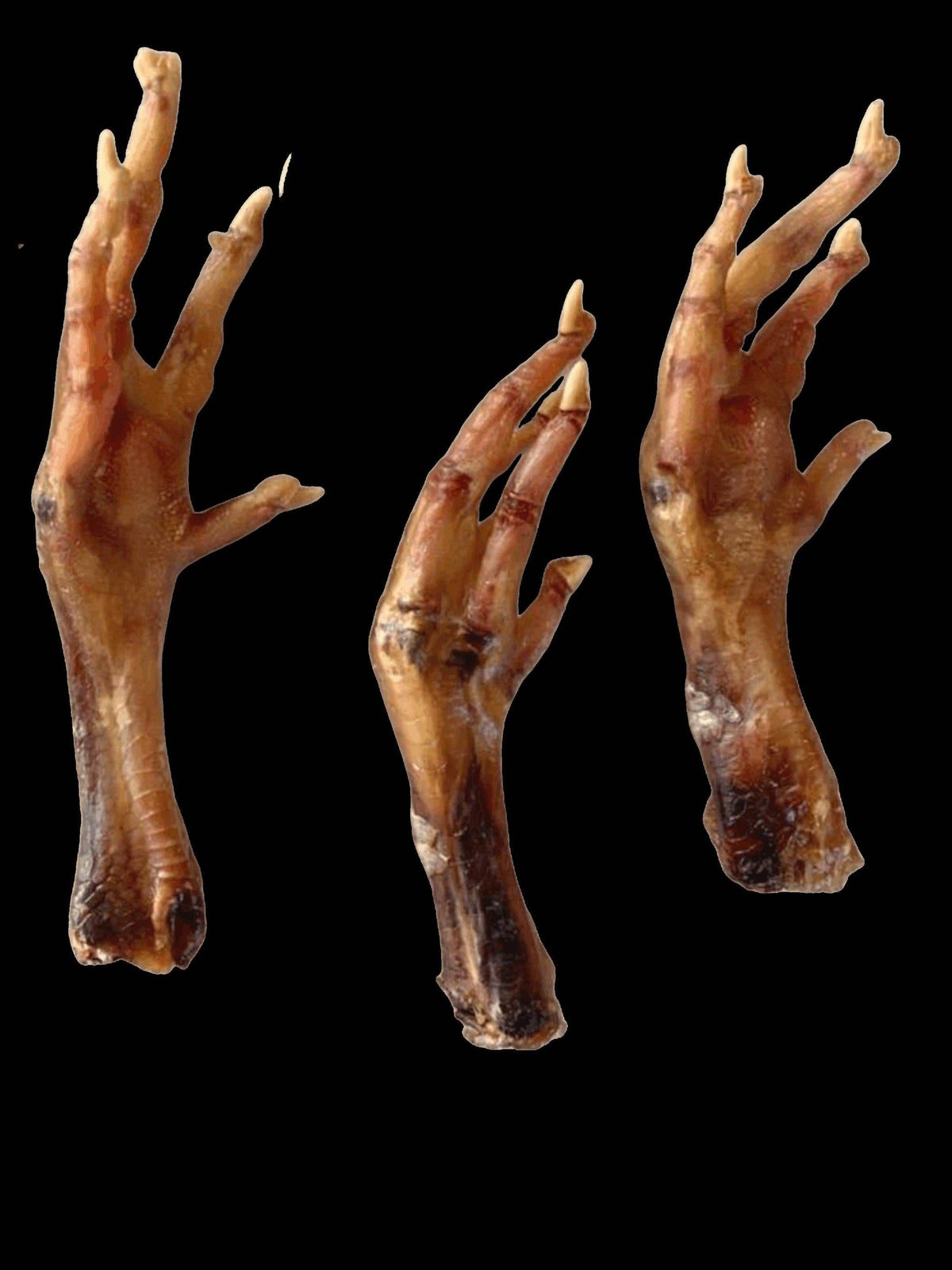 Dried Chicken Feet chews in a natural tan and brown color, with wrinkled skin, curled toes, and darkened ends.