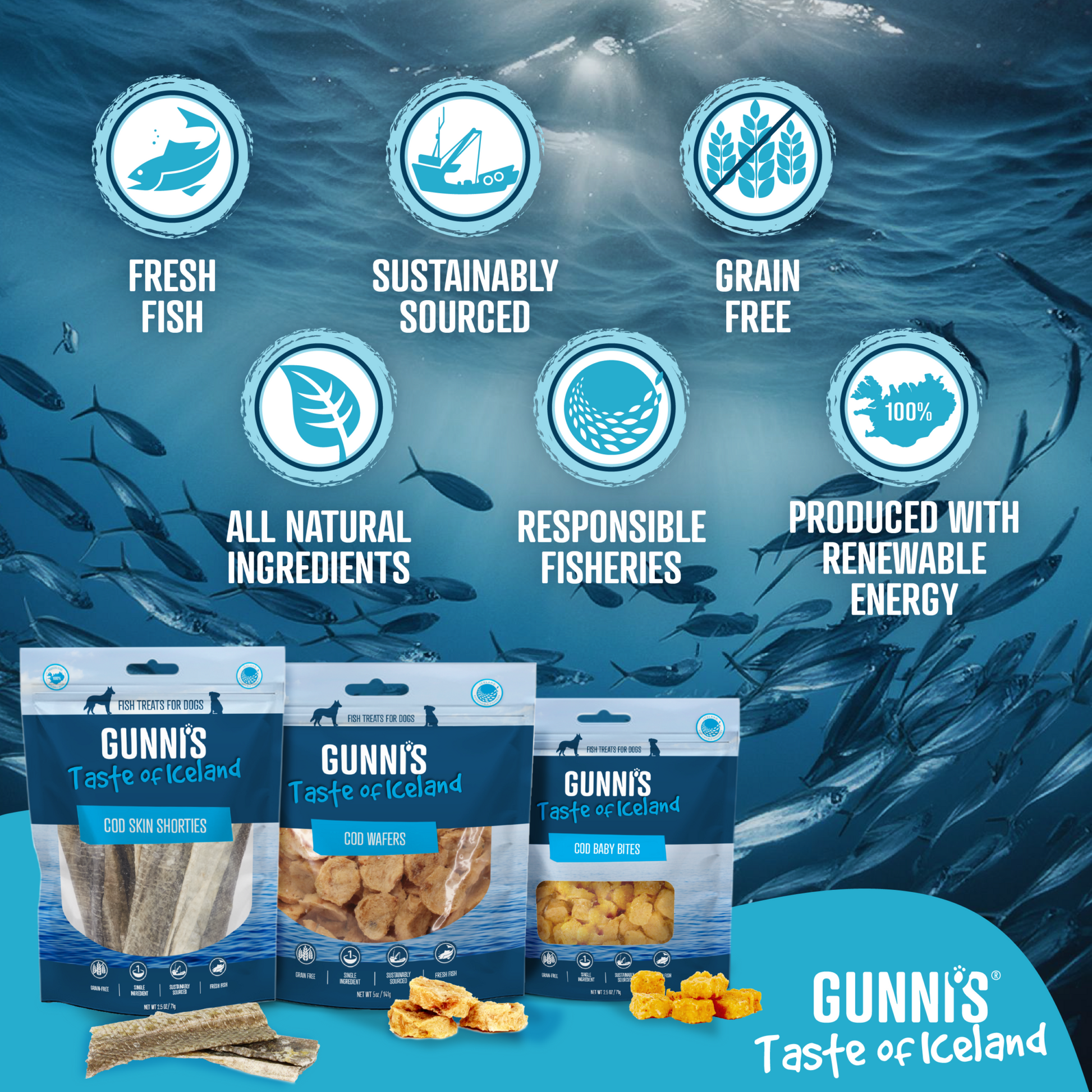 Cod Baby Bites high-protein Icelandic fish dog treats for training and rewards
