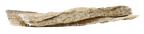 Long, air-dried cod skin strips dog chews rich in collagen and omega-3s