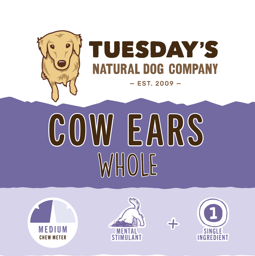 Cow ear dog chew, golden tan with a flat, irregular shape, shown on Cow Ears packaging as a single ingredient chew.
