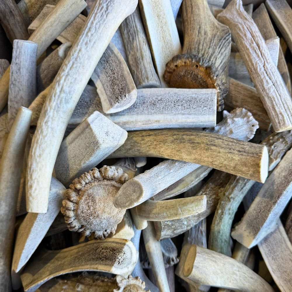 Pile of economy grade elk antler chews for dogs, natural and long-lasting