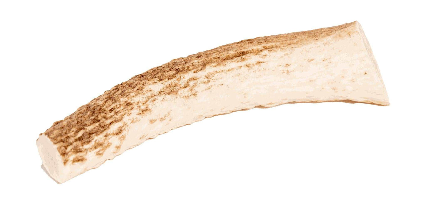 Elk Antler for dogs, long-lasting and natural chew toy.