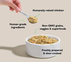 Fresh dog food, Harvest Chicken Grain-Free, with a beige and orange crumbly chicken-and-vegetable mix, served in a white bowl.
