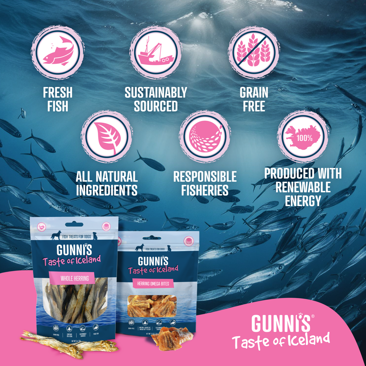 Whole herring dog treats rich in omega-3, air dried in Iceland using renewable energy