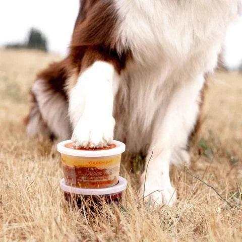 Pet supplement tub of Lua's Golden Paste with a white lid and amber label, licked by a brown-and-white dog.