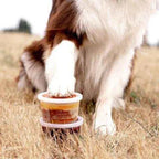 Pet supplement tub of Lua's Golden Paste with a white lid and amber label, licked by a brown-and-white dog.
