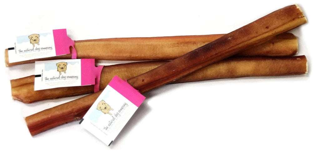 Odor free jumbo bully sticks dog chews for power chewers 12 inch natural bull pizzle treats