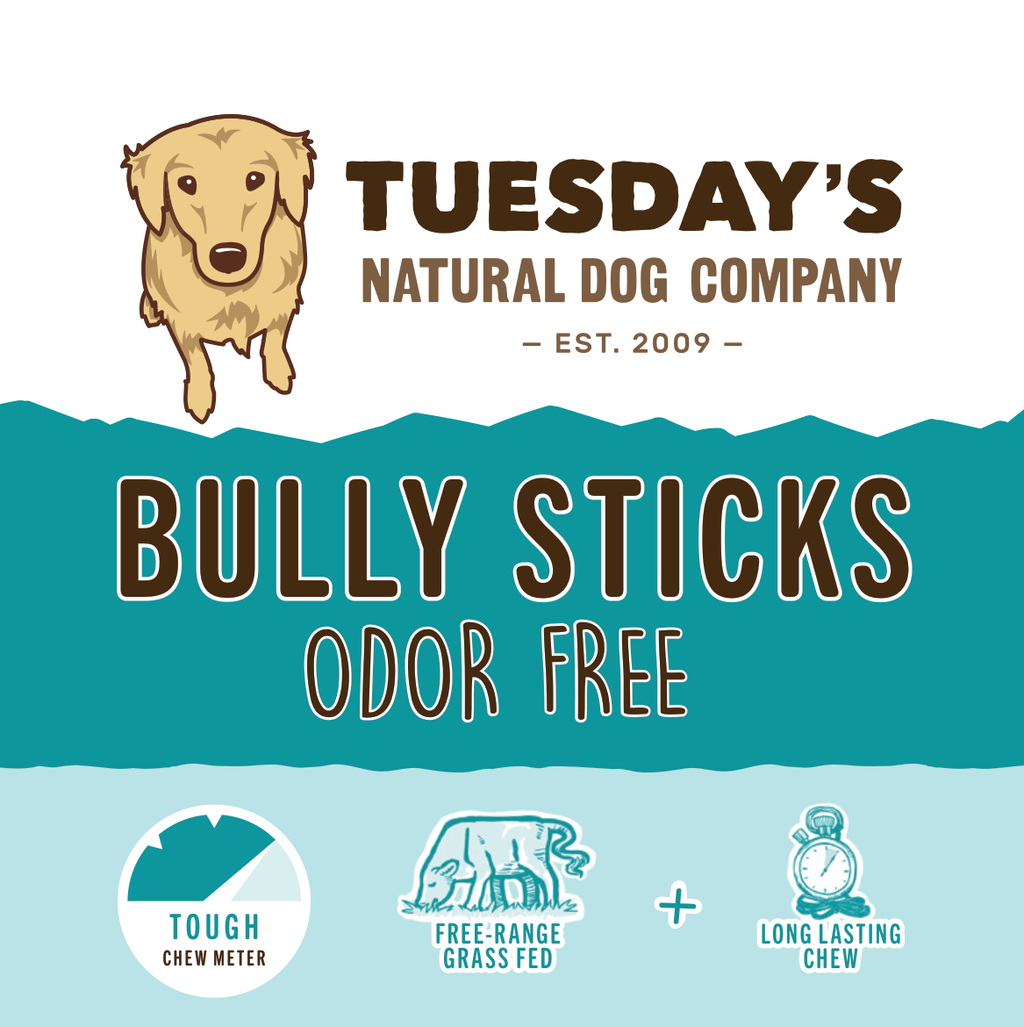 Bully stick chew, tan natural bull pizzle; Odor Free Jumbo Bully Sticks label notes tough, long-lasting chew.