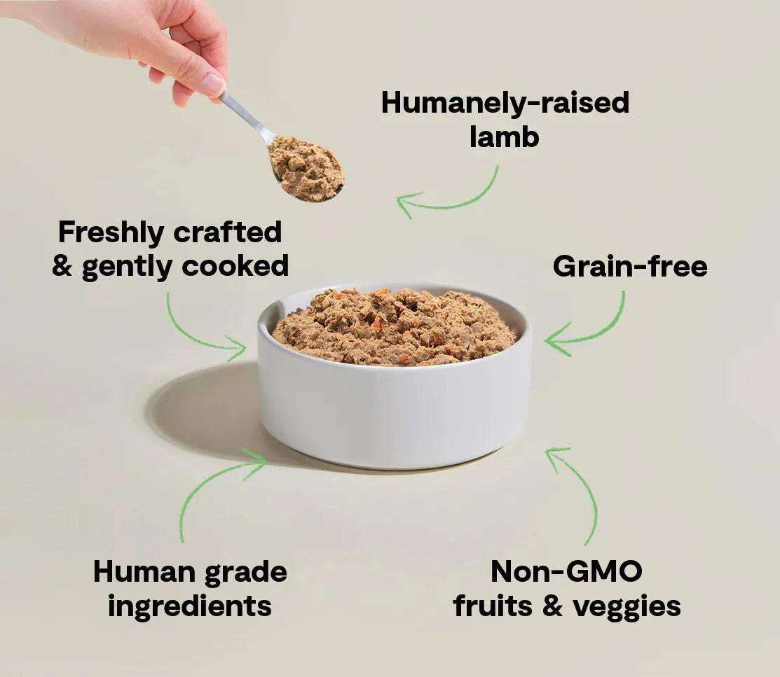 Pasture-Raised Lamb dog food, brown freshly cooked ground meat in a white bowl with a spoonful held above it.