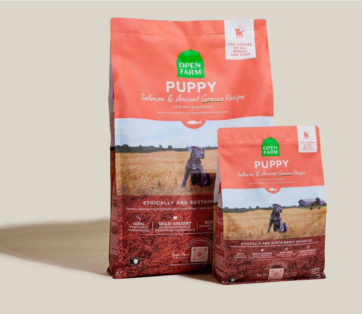 Puppy kibble bags in coral, red, and cream packaging, featuring a dog in a field and Puppy Salmon & Ancient Grain Recipe labeling.