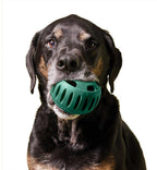 Pupsicle Pops chew toy, green slotted rubber holder held in a black and tan dog's mouth, designed for treats.