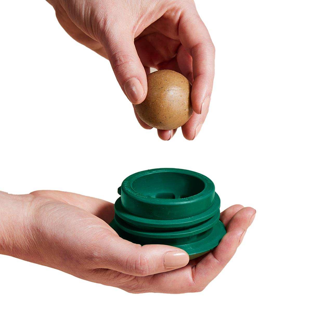 Pupsicle Pops are round tan treats with a speckled surface, held above a dark green rubber treat holder.