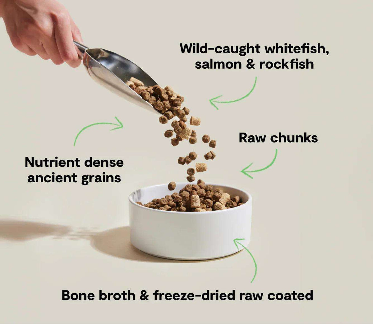 Dog kibble, RawMix Wild Ocean blend of brown ancient grain pieces and raw chunks, shown being poured into a bowl.