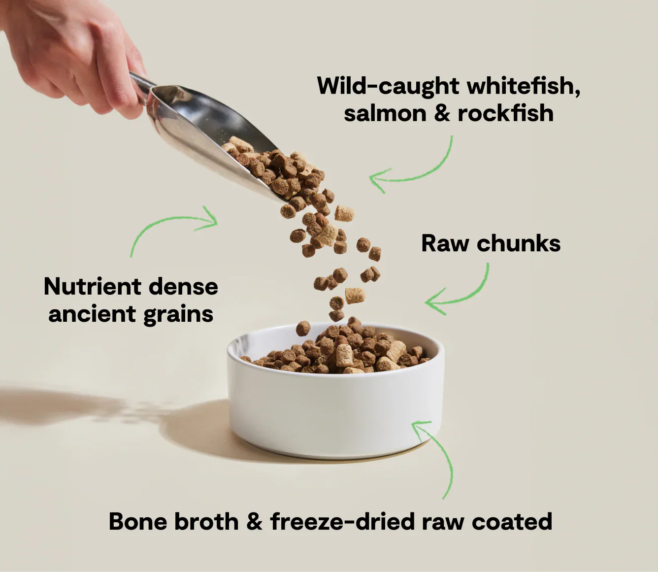 RawMix Wild Ocean ancient grains dog kibble with wild-caught fish, raw chunks, and bone broth freeze-dried coating