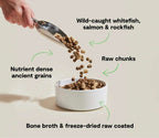 Dog kibble, RawMix Wild Ocean blend of brown ancient grain pieces and raw chunks, shown being poured into a bowl.