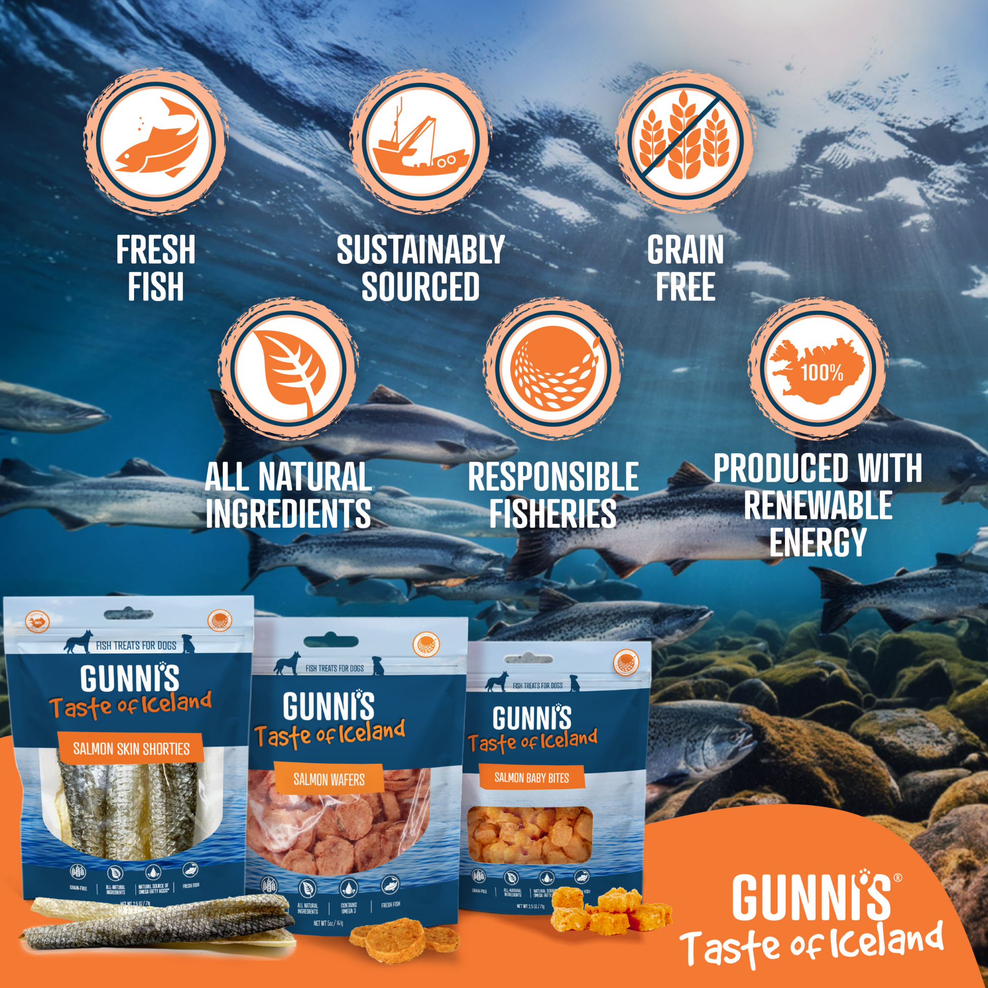 Thin, crunchy salmon recipe wafers dog treats rich in omega-3 from Icelandic fish