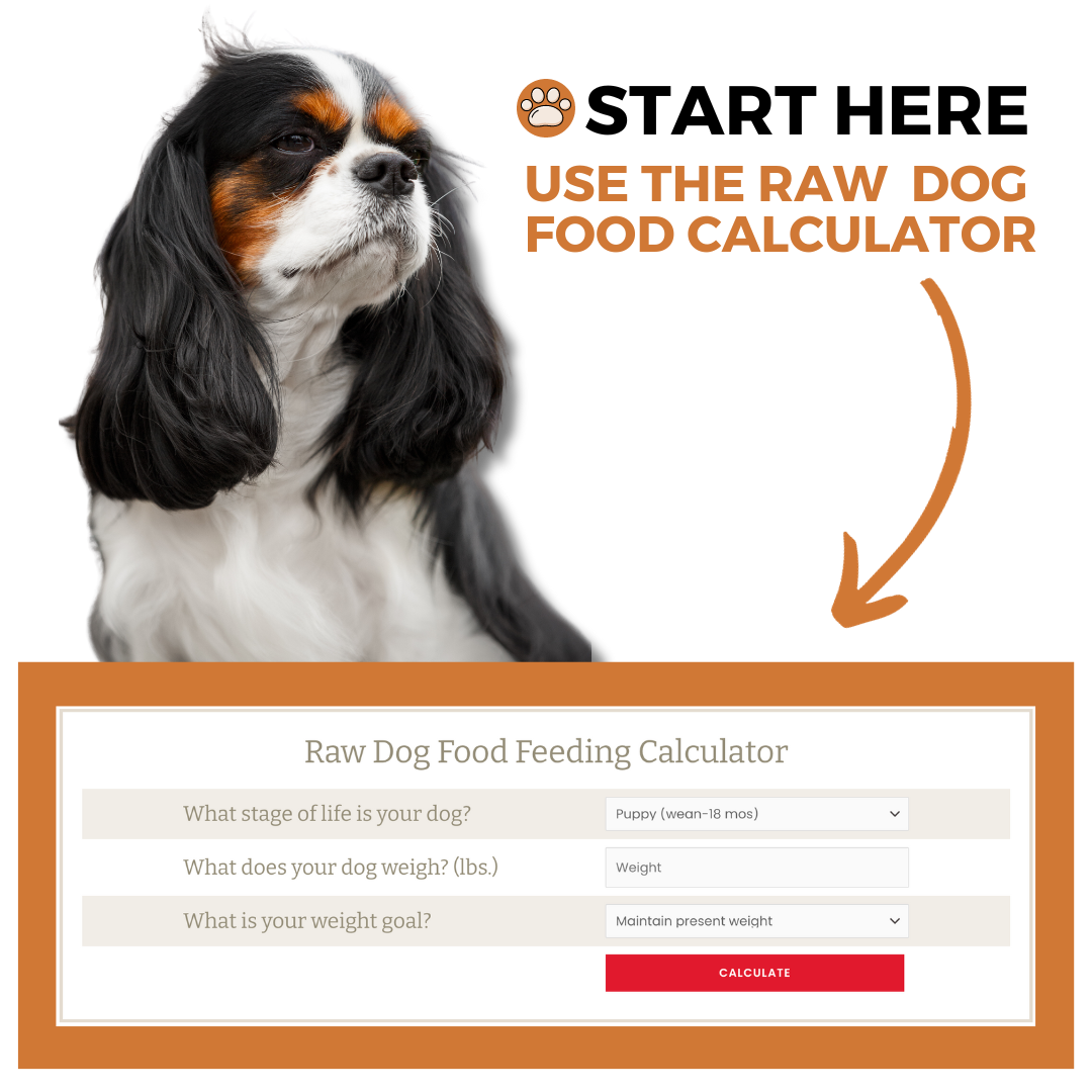 feeding-guidelines-dfw-raw-dog-food