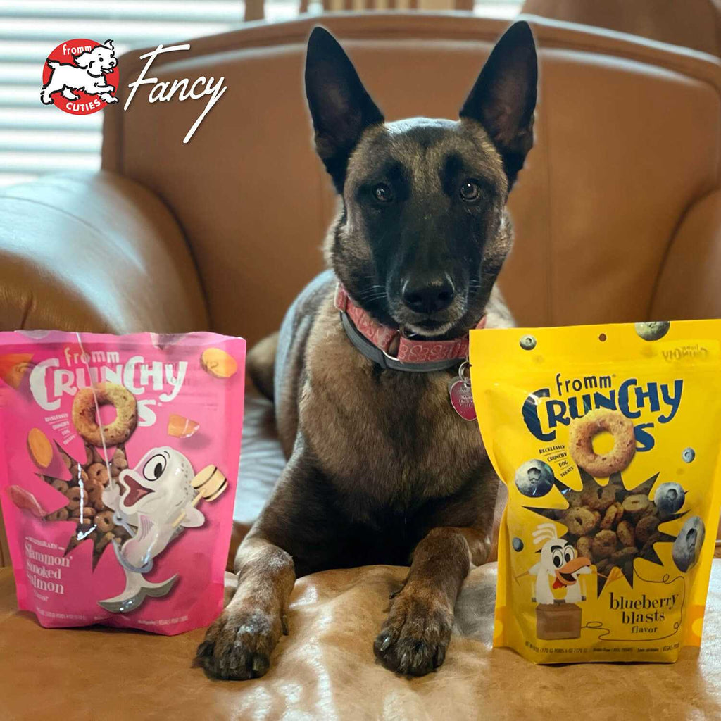 Bag of Crunchy O's Slammon smoked salmon dog treats with natural ingredients and low calories
